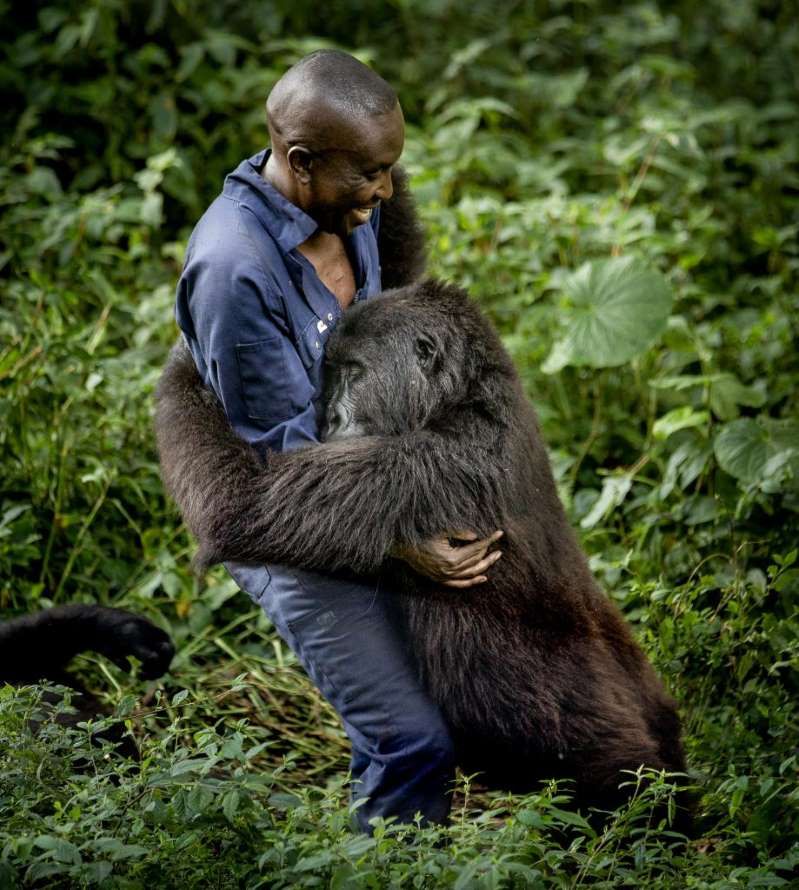 Legends and Legacies of Conservation in Africa